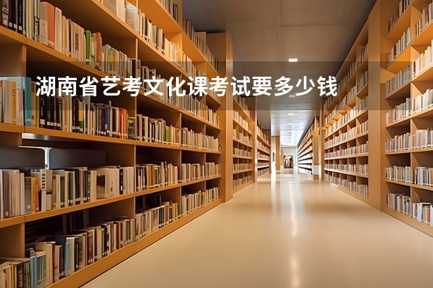 湖南省艺考文化课考试要多少钱