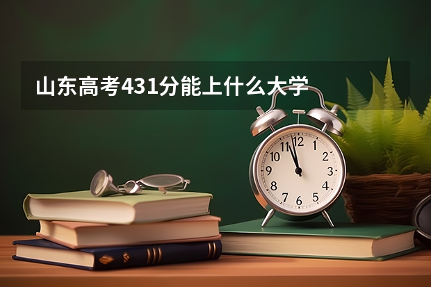 山东高考431分能上什么大学