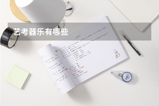 艺考器乐有哪些