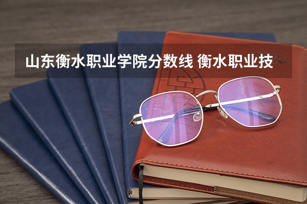 山东衡水职业学院分数线 衡水职业技术学院单招分数线