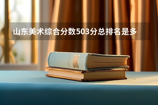 山东美术综合分数503分总排名是多少？