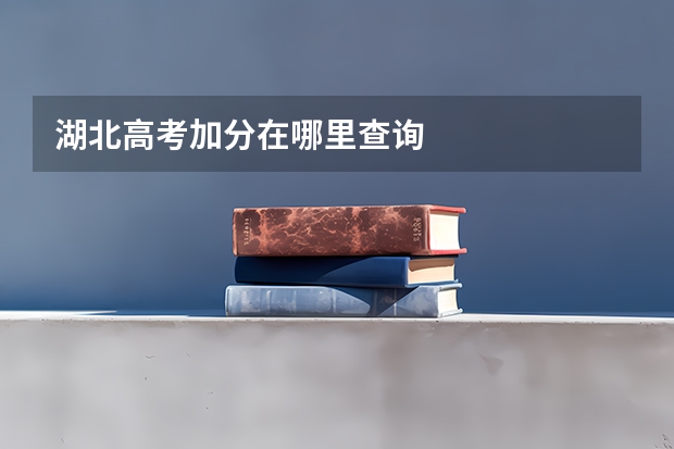 湖北高考加分在哪里查询
