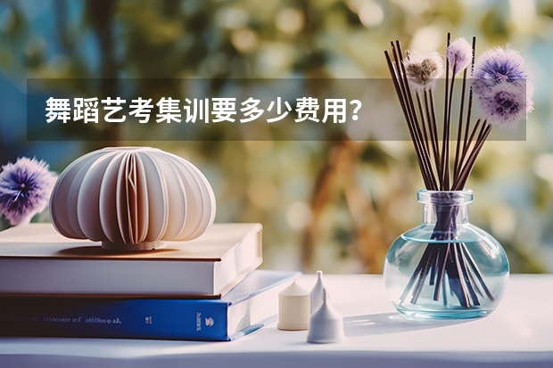舞蹈艺考集训要多少费用？