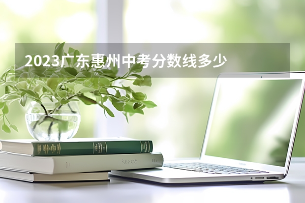 2023广东惠州中考分数线多少