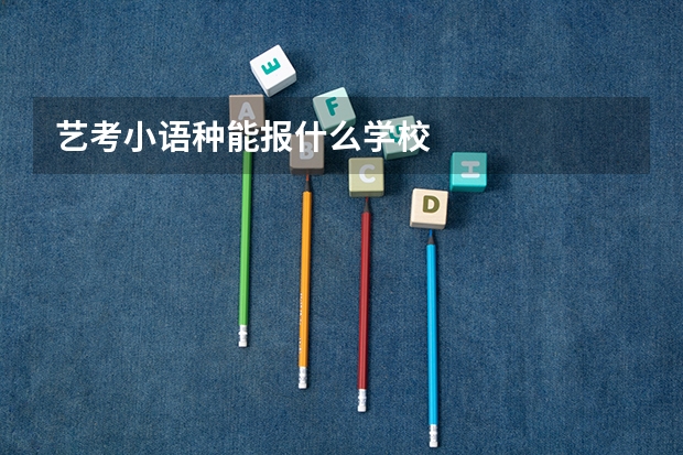艺考小语种能报什么学校