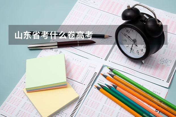 山东省考什么卷高考