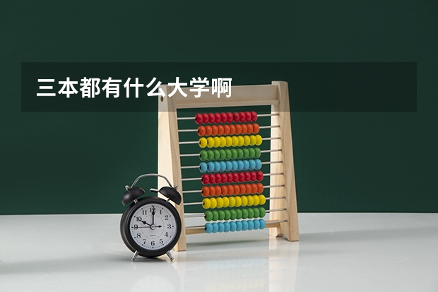 三本都有什么大学啊