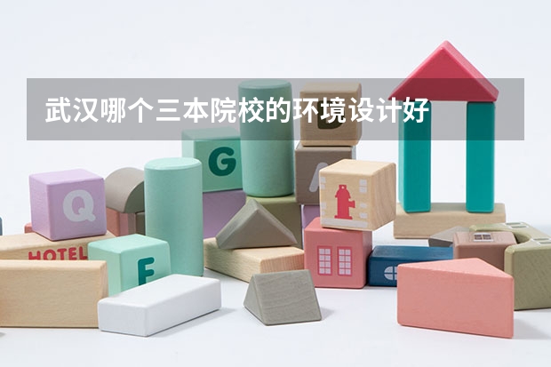 武汉哪个三本院校的环境设计好