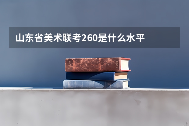 山东省美术联考260是什么水平