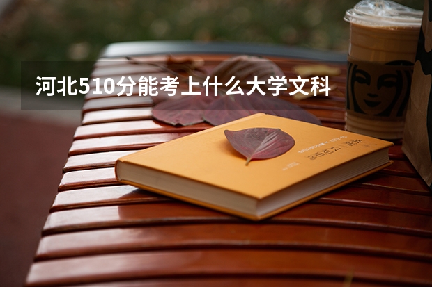 河北510分能考上什么大学文科