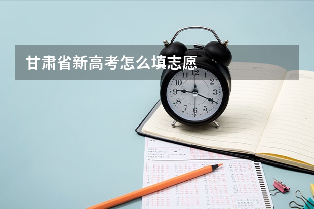 甘肃省新高考怎么填志愿