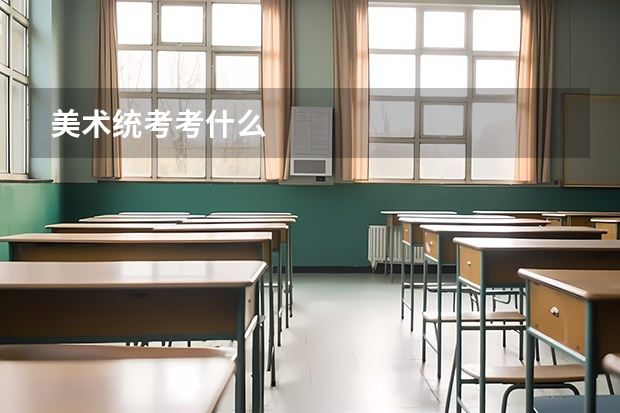 美术统考考什么
