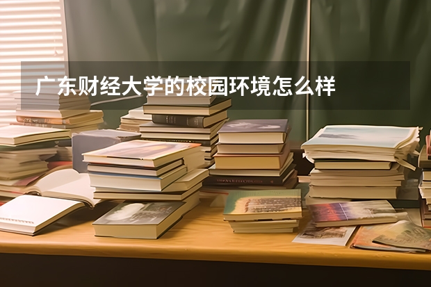 广东财经大学的校园环境怎么样