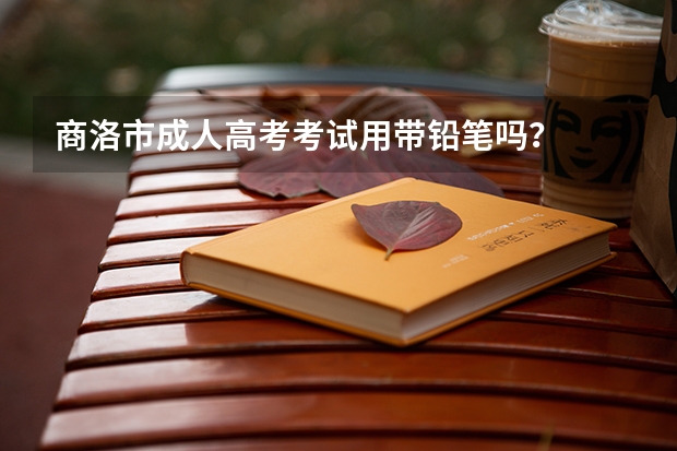 商洛市成人高考考试用带铅笔吗？