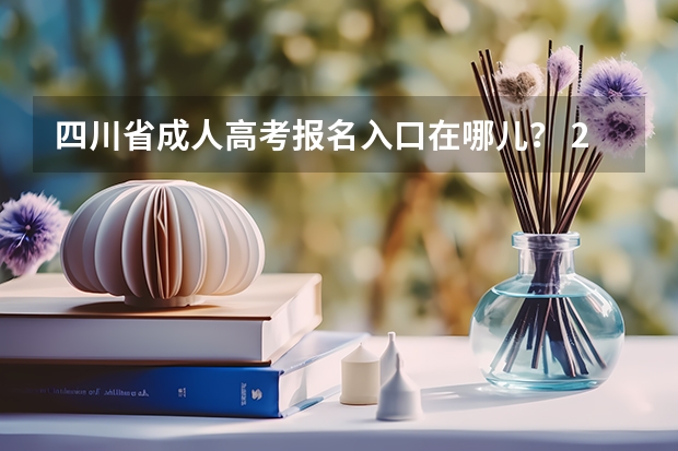 四川省成人高考报名入口在哪儿？ 2023年各省成考网上报名入口及网址？
