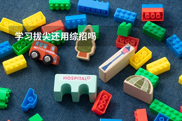 学习拔尖还用综招吗