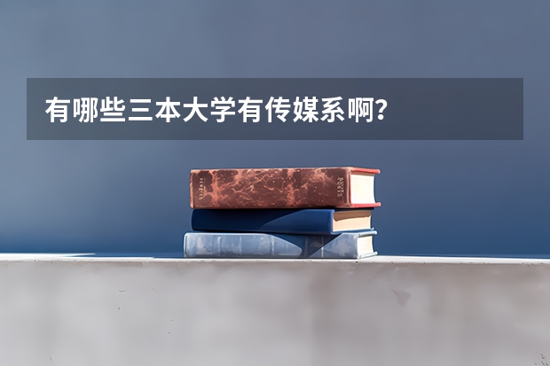 有哪些三本大学有传媒系啊？