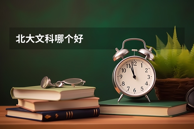 北大文科哪个好