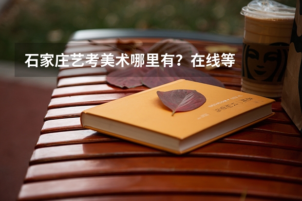 石家庄艺考美术哪里有？在线等