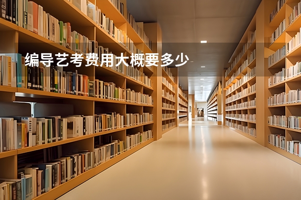 编导艺考费用大概要多少
