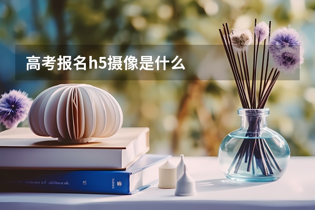 高考报名h5摄像是什么