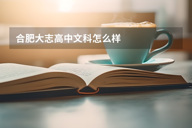 合肥大志高中文科怎么样