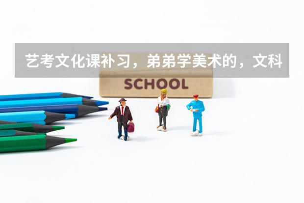 艺考文化课补习，弟弟学美术的，文科生，文化课不好，不到300分，在宜昌哪里有好的补习学校吗？