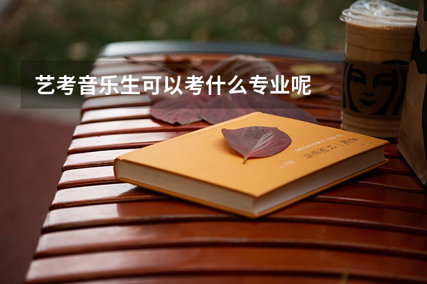艺考音乐生可以考什么专业呢