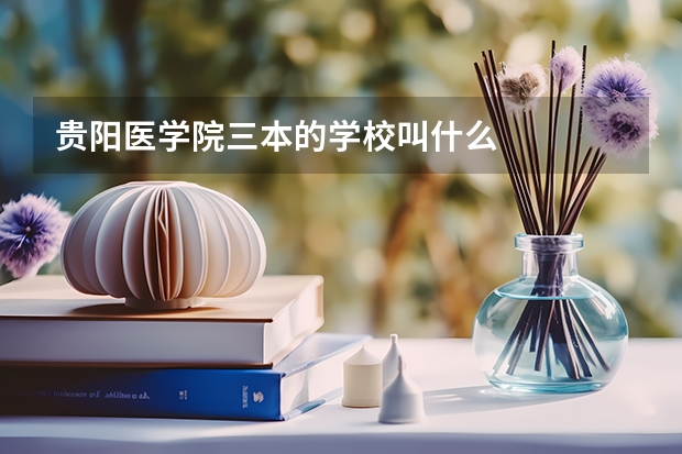 贵阳医学院三本的学校叫什么