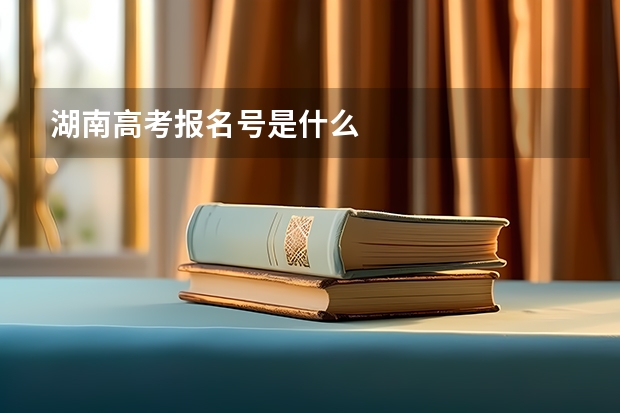 湖南高考报名号是什么