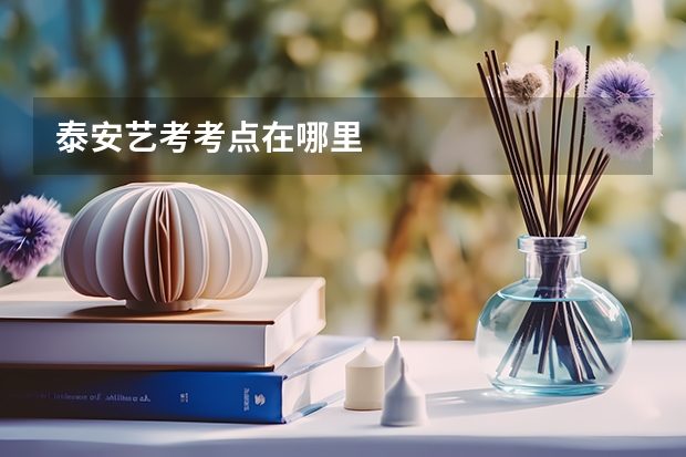 泰安艺考考点在哪里