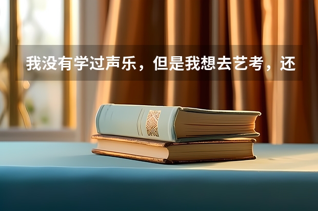 我没有学过声乐，但是我想去艺考，还可以吗