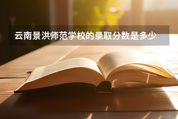 云南景洪师范学校的录取分数是多少