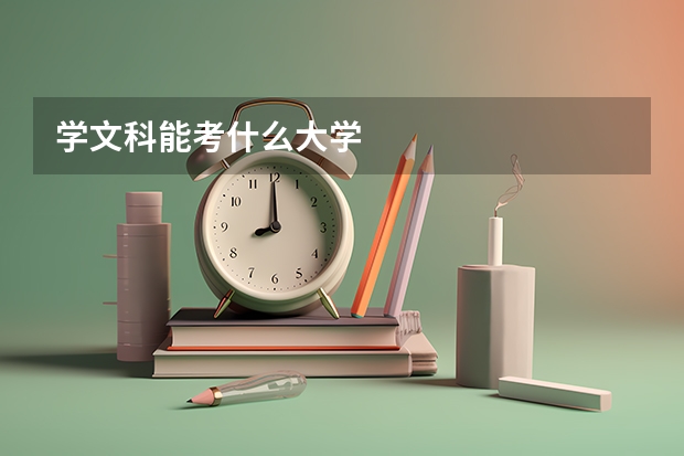 学文科能考什么大学