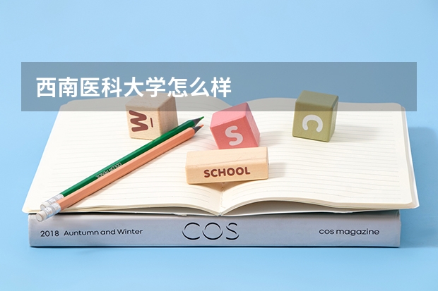 西南医科大学怎么样