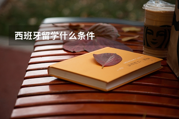西班牙留学什么条件