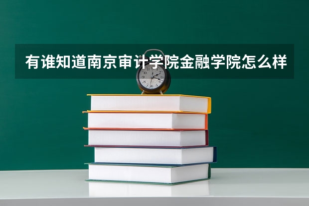 有谁知道南京审计学院金融学院怎么样啊