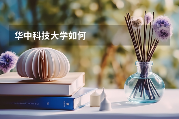 华中科技大学如何