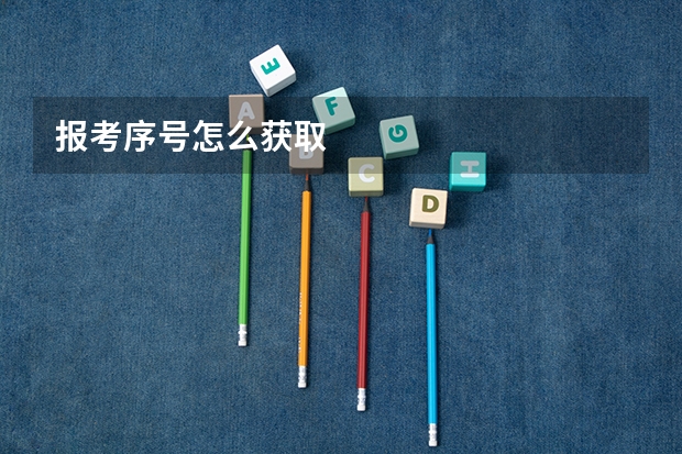 报考序号怎么获取
