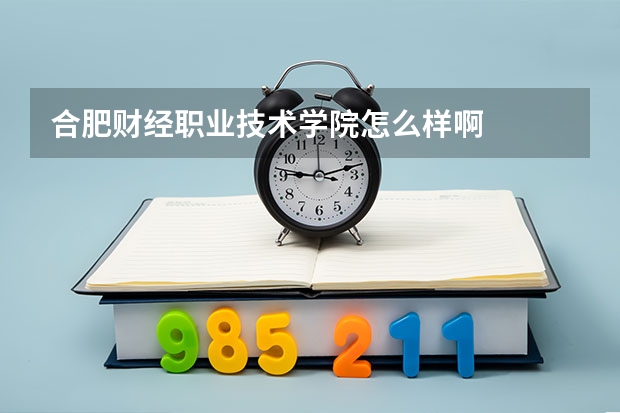 合肥财经职业技术学院怎么样啊