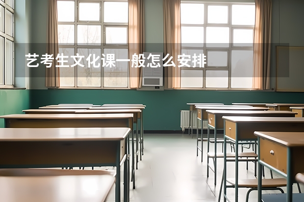艺考生文化课一般怎么安排