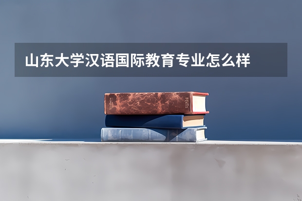 山东大学汉语国际教育专业怎么样