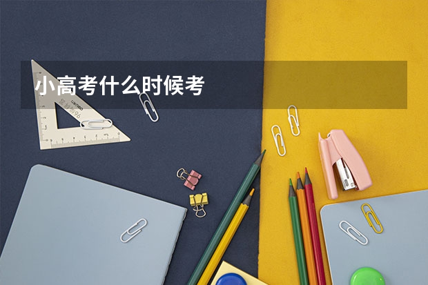 小高考什么时候考
