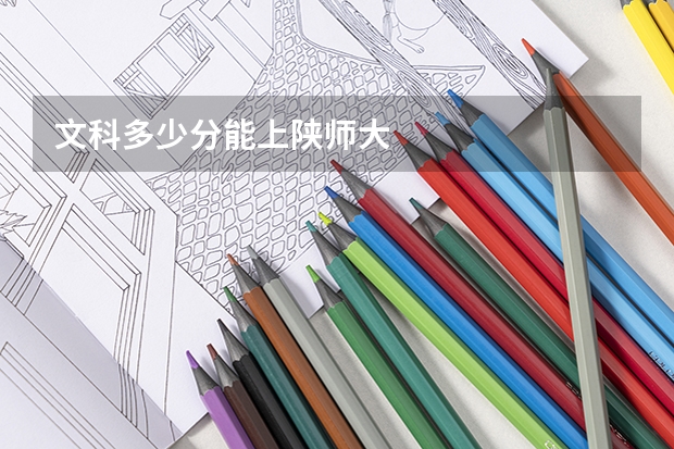 文科多少分能上陕师大