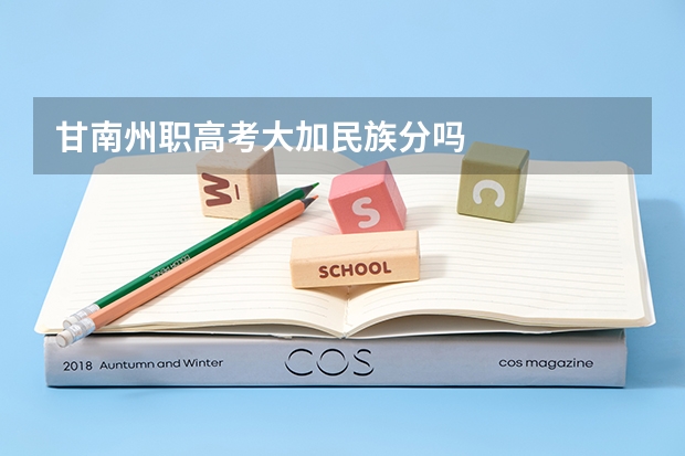 甘南州职高考大加民族分吗