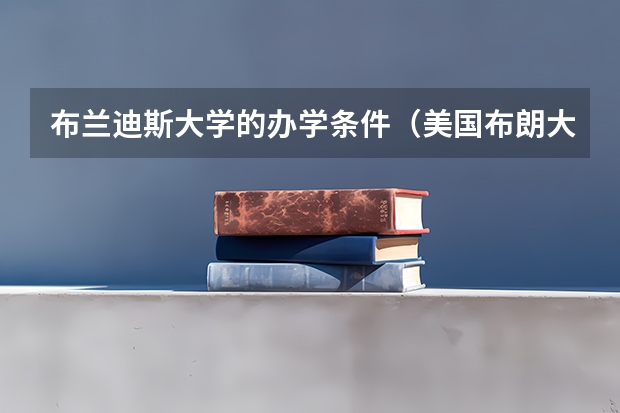 布兰迪斯大学的办学条件（美国布朗大学研究生留学的申请条件与专业）