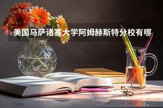 美国马萨诸塞大学阿姆赫斯特分校有哪些好专业