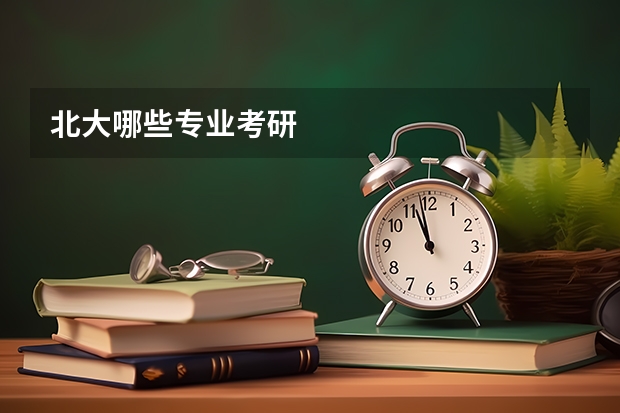 北大哪些专业考研