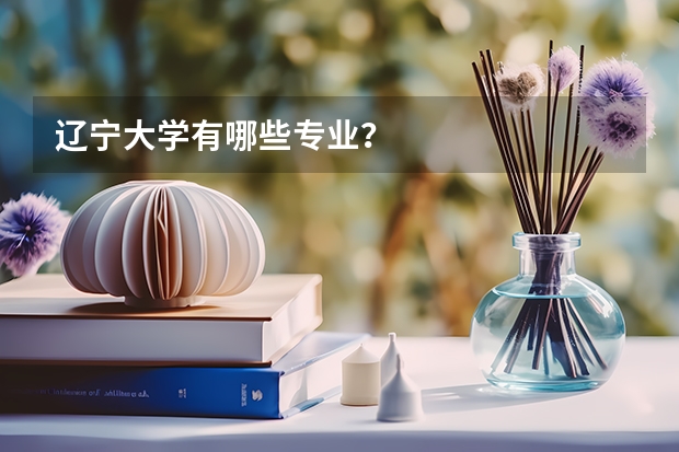 辽宁大学有哪些专业？