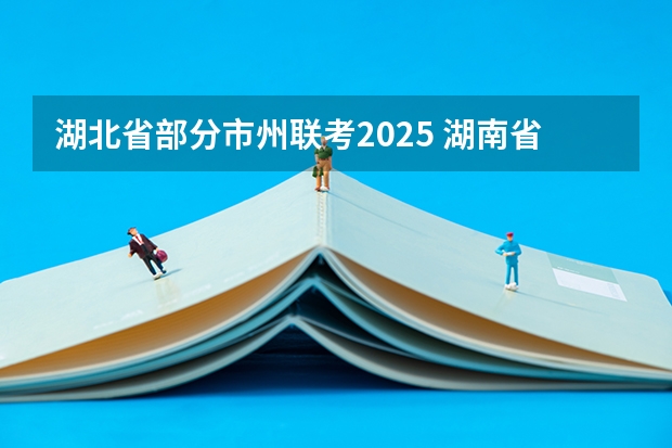 湖北省部分市州联考2025 湖南省美术联考分数段